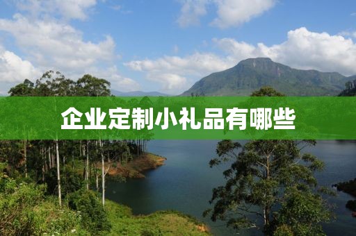 企业定制小礼品有哪些